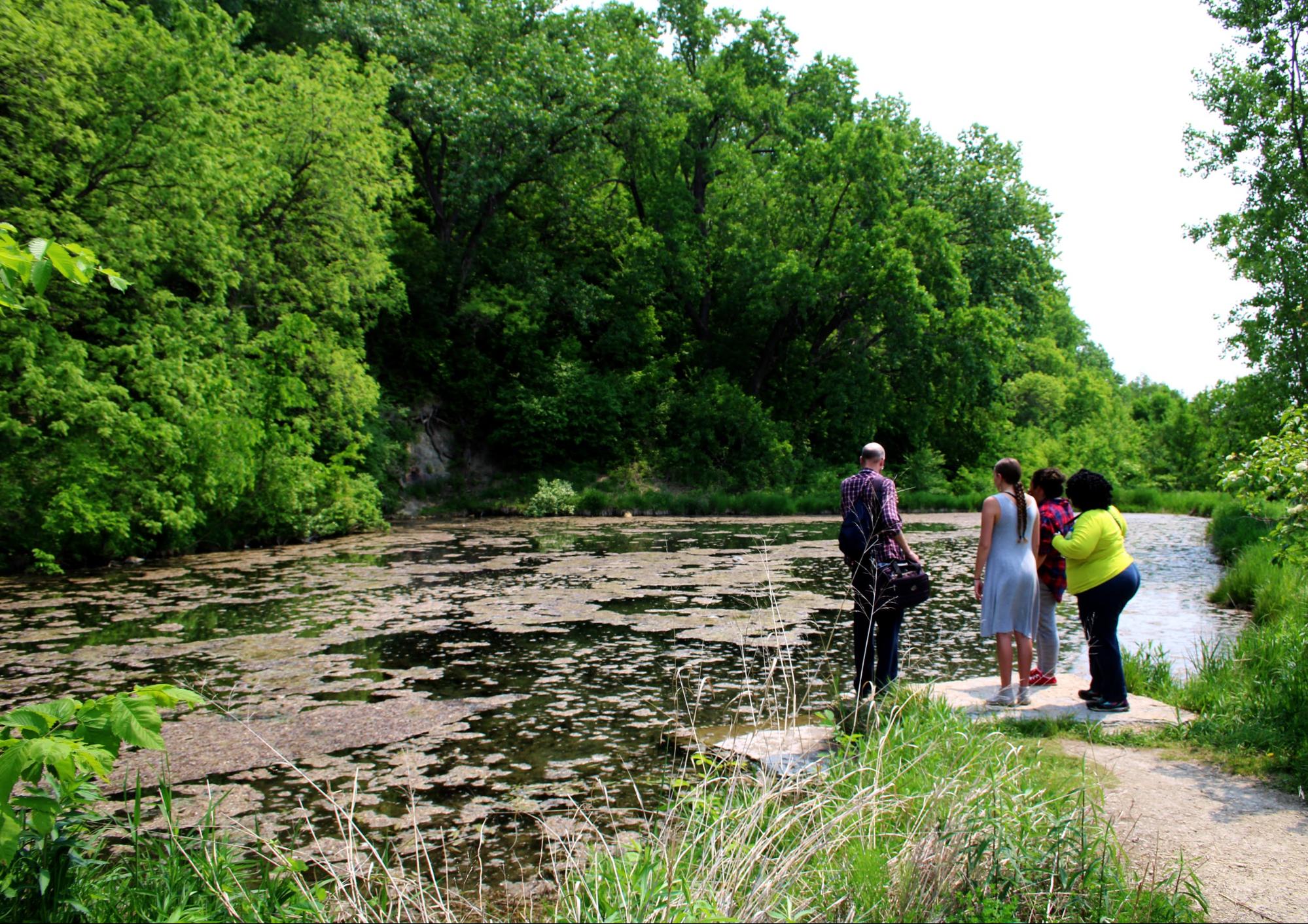 You are currently viewing A photographer’s journey in the Bruce Vento Nature Sanctuary