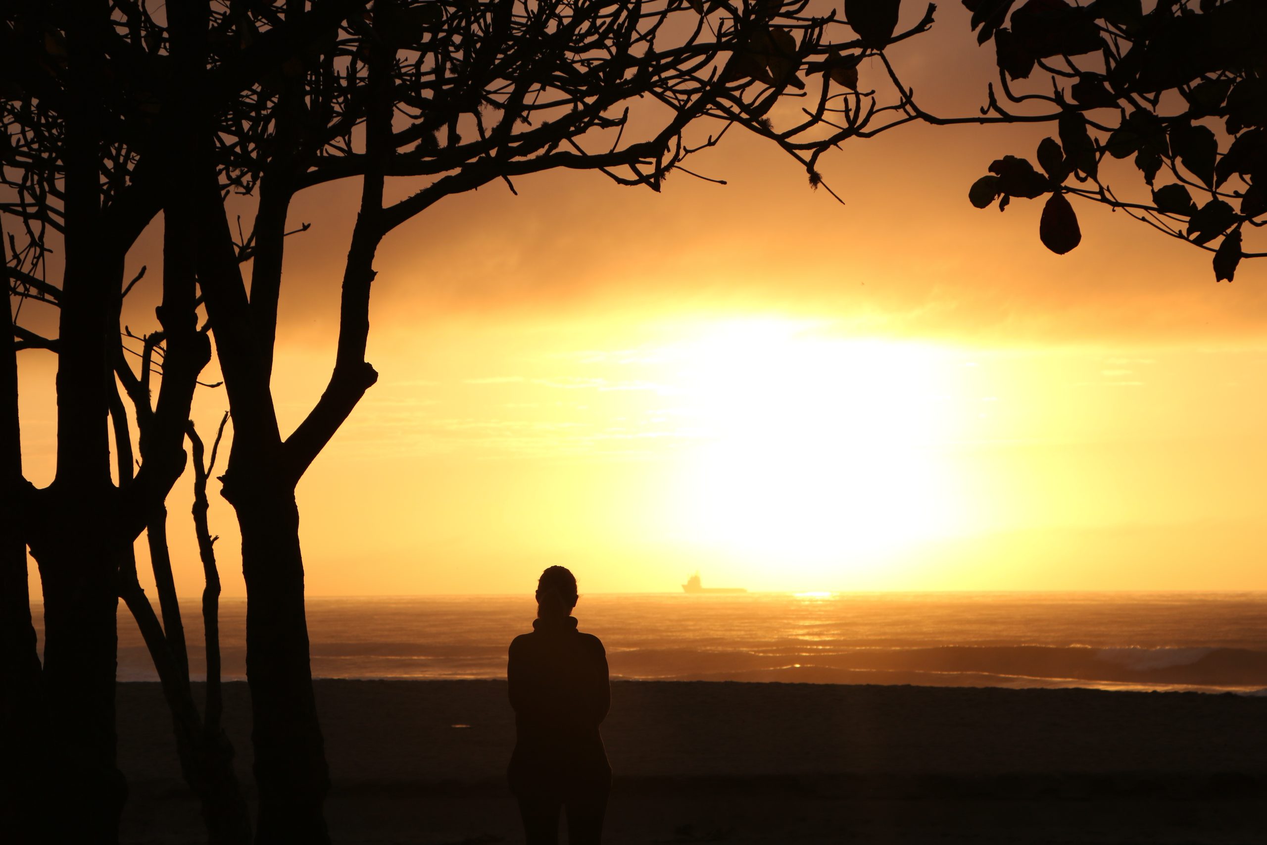Silhouette of a person standing beneath trees while watching the sunset over the water